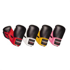 Deluxe Sparring and Fitness Gloves